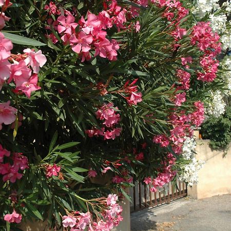 La Vigne Et L'Olivier Apartment วิลเนิฟ-เลส์-อาวิญง ภายนอก รูปภาพ