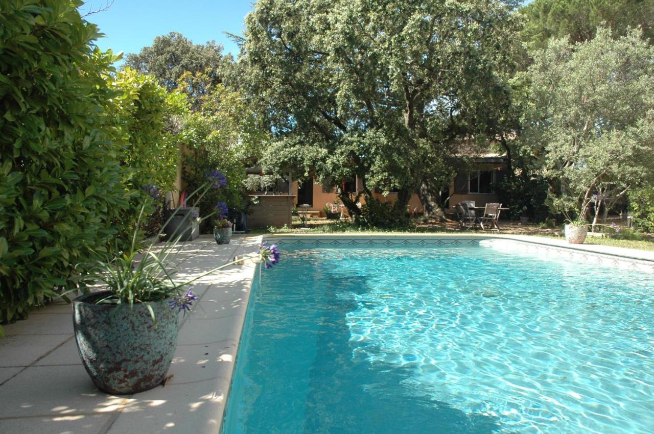 La Vigne Et L'Olivier Apartment วิลเนิฟ-เลส์-อาวิญง ภายนอก รูปภาพ