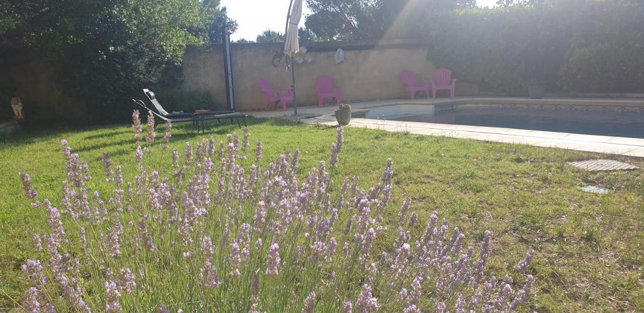 La Vigne Et L'Olivier Apartment วิลเนิฟ-เลส์-อาวิญง ภายนอก รูปภาพ